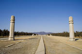 tkf005_2312207