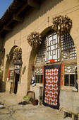 tkf005_2312934