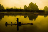 tkf005_2313919