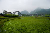 tkf005_2314096