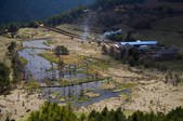 tkf005_2314695