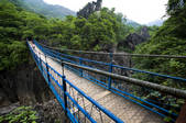 tkf005_2315231