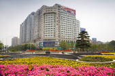 tkf005_2315304