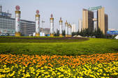tkf005_2315310