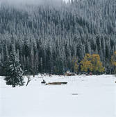 tkf005_2315954