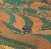 tkf005_2316107