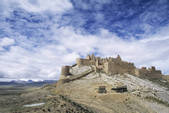 tkf005_2316282
