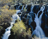 tkf005_2316296