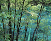 tkf005_2316310