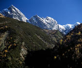 tkf005_2316396