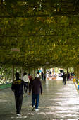 tkf005_2319074