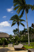 tkf005_2320575