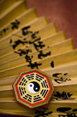 tkf005_2321108
