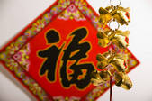 tkf005_2321615