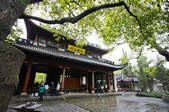 tkf005_2322781