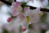 tkf005_2324048