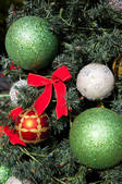 tkf005_2331305