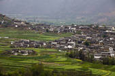 tkf005_2337429