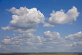 tkf005_2340704