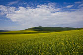 tkf005_2340745
