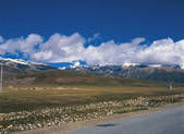 tkf005_2347810