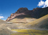tkf005_2347868