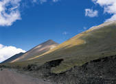 tkf005_2347913