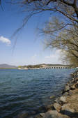 tkf005_2348197