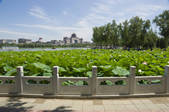tkf005_2348638