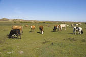 tkf005_2349306
