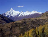 tkf005_2350204