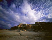 tkf005_2350252