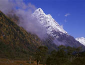 tkf005_2350256