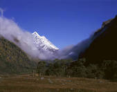 tkf005_2350257