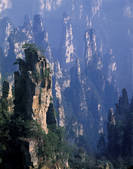 tkf005_2350261