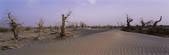tkf005_2350545