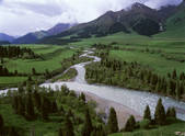 tkf005_2350648