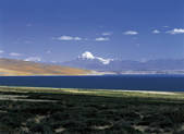 tkf005_2350692