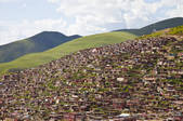 tkf005_2356890