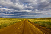 tkf005_2360056