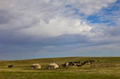 tkf005_2360057