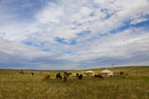tkf005_2360060