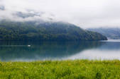 tkf005_2366496