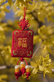 tkf005_2366994