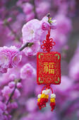 tkf005_2367009