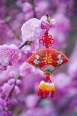 tkf005_2367010