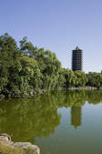 tkf005_2374551