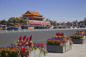 tkf005_2374557