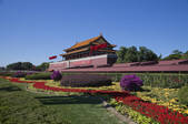 tkf005_2374568