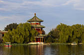 tkf005_2374672